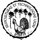 WLiTD